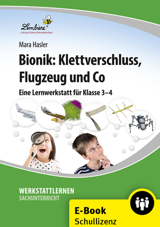 Bionik: Klettverschluss, Flugzeug und Co