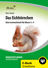 Das Eichh&ouml;rnchen - Mara Hasler