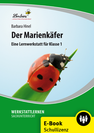 Der Marienkäfer