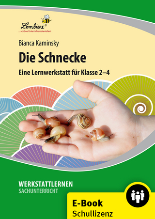 Die Schnecke