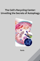 The Cell's Recycling Center: Unveiling the Secrets of Autophagy -  Faris