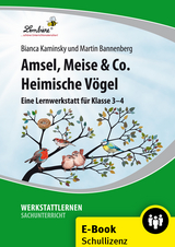 Amsel, Meise & Co: Heimische V&ouml;gel - B. Kaminsky, M. Bannenberg