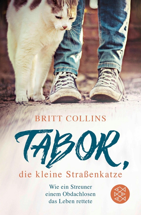 Tabor, die kleine Stra&szlig;enkatze - Britt Collins