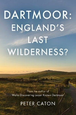 Dartmoor: England's Last Wilderness?