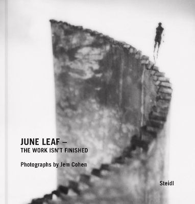 June Leaf &ndash; The Work Isn&rsquo;t Finished - Jem Cohen