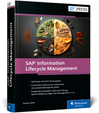 SAP information lifecycle management