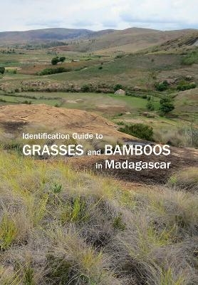 Identification Guide to Grasses and Bamboos in Madagascar - Maria Vorontsova et al