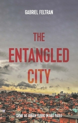 The Entangled City - Gabriel Feltran