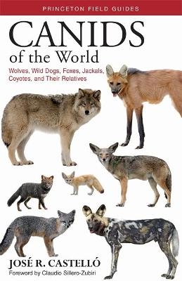 Canids of the World - Dr. Jos&eacute; R. Castell&oacute;