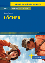 Löcher von Louis Sachar - Textanalyse und Interpretation - Louis Sachar