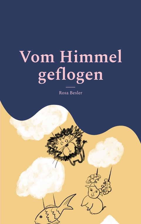 Vom Himmel geflogen - Rosa Besler