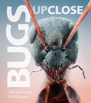Bugs Up Close - 