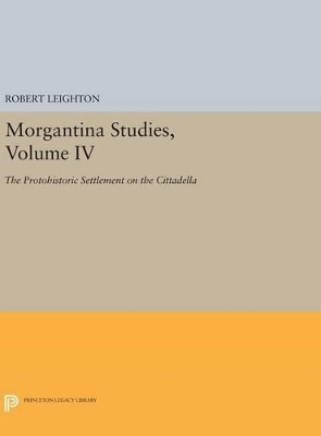 Morgantina Studies, Volume IV - Robert Leighton