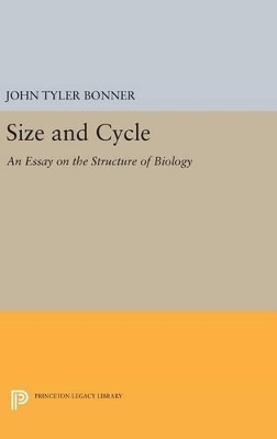 Size and Cycle
