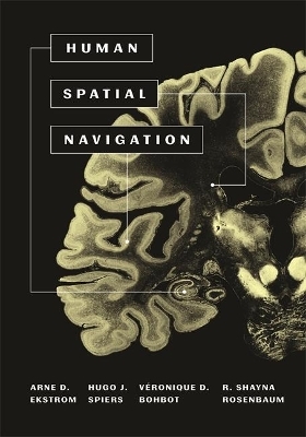 Human Spatial Navigation - Arne Ekstrom, Hugo J. Spiers, V&eacute;ronique D. Bohbot, R. Shayna Rosenbaum