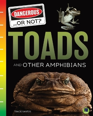 Toads and Other Amphibians -  Santos