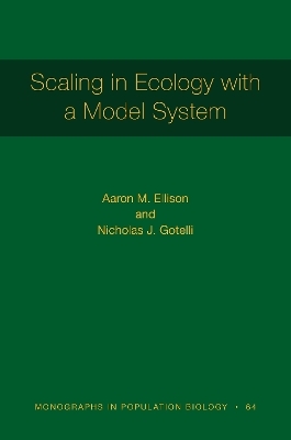 Scaling in Ecology with a Model System