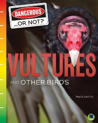 Vultures and Other Birds - Tracie Santos