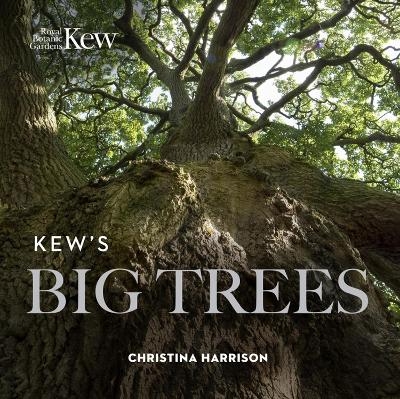 Kew’s Big Trees - Christina Harrison