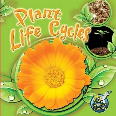 Plant Life Cycles - Julie K Lundgren
