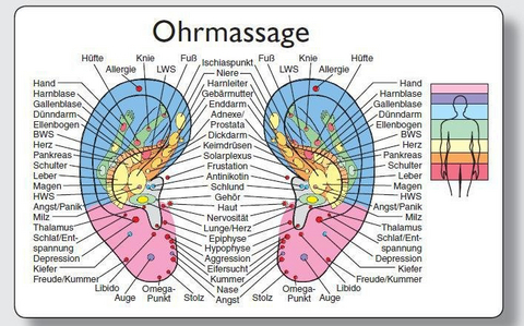 Reflexzonenmassagekarte "Ohr" - 