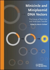 Minicircle and Miniplasmid DNA Vectors - 