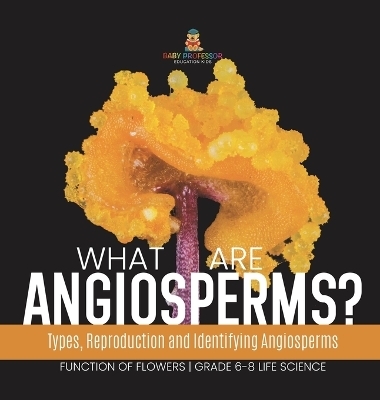What are Angiosperms? Types, Reproduction and Identifying Angiosperms Function of Flowers Grade 6-8 Life Science -  Baby Professor