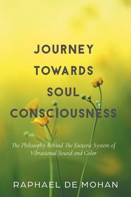 Journey Towards Soul Consciousness - Raphael De Mohan