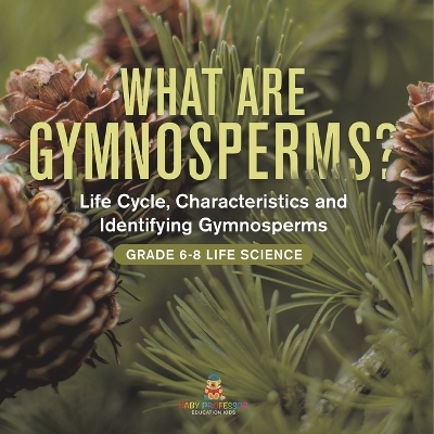 What are Gymnosperms? Life Cycle, Characteristics and Identifying Gymnosperms Grade 6-8 Life Science -  Baby Professor