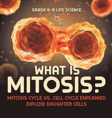 What is Mitosis? Mitosis Cycle vs. Cell Cycle Explained Diploid Daughter Cells Grade 6-8 Life Science -  Baby Professor