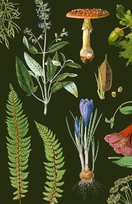 Woodland (Blank Lined Journal) - 