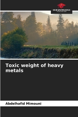 Toxic weight of heavy metals - Abdelhafid Mimouni