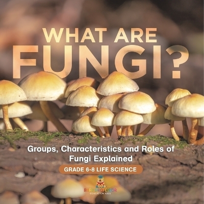 What are Fungi? Groups, Characteristics and Roles of Fungi Explained Grade 6-8 Life Science -  Baby Professor