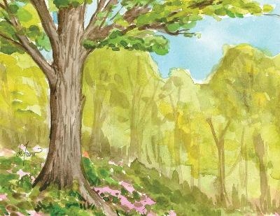 The Seasons Boxed Notecard Assortment - 