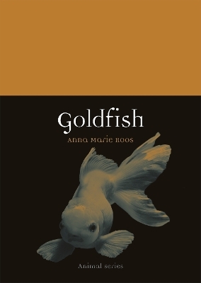 Goldfish - The Editor