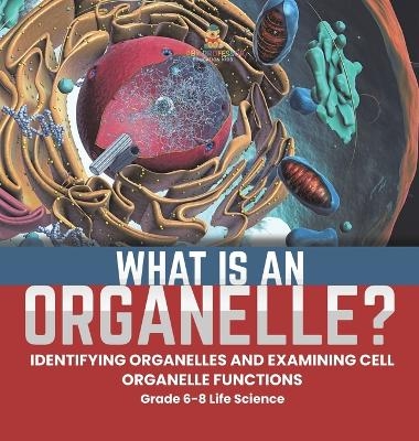 What is an Organelle? Identifying Organelles and Examining Cell Organelle Functions Grade 6-8 Life Science -  Baby Professor