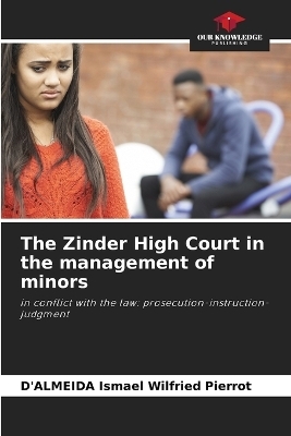 The Zinder High Court in the management of minors - D'ALMEIDA Ismael Wilfried Pierrot