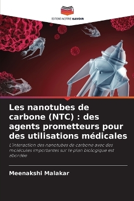 Les nanotubes de carbone (NTC) - Meenakshi Malakar