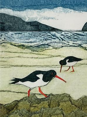 Wild Birds Pocket Notebook: Oystercatcher - 