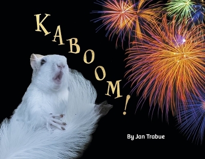 Kaboom! - Jan Trabue