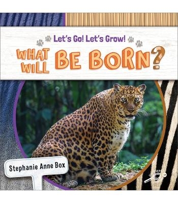 What Will Be Born? - Stephanie Anne Box