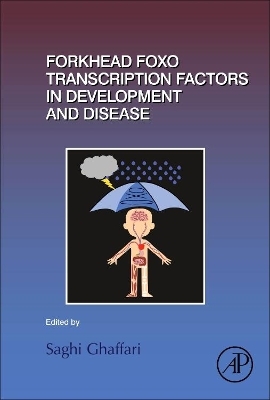 Forkhead FOXO Transcription Factors in Development and Disease - 
