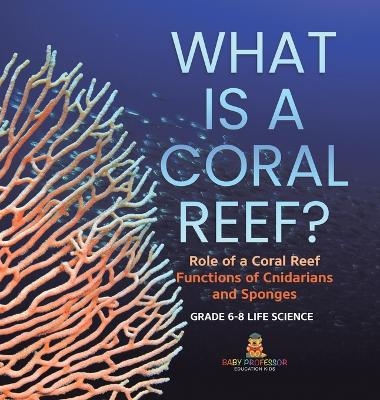 What is a Coral Reef? Role of a Coral Reef Functions of Cnidarians and Sponges Grade 6-8 Life Science -  Baby Professor