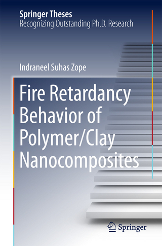 Fire Retardancy Behavior of Polymer/Clay Nanocomposites