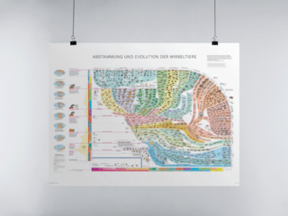 Wirbeltieratlas (Poster) - Arthur Escher; Robin Marchant
