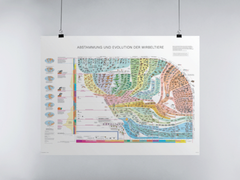 Wirbeltieratlas (Poster) - Arthur Escher, Robin Marchant