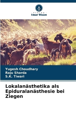 Lokalanästhetika als Epiduralanästhesie bei Ziegen