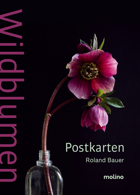 Wildblumen - Roland Bauer