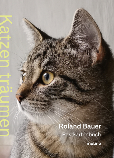 Katzen tr&auml;umen - Roland Bauer