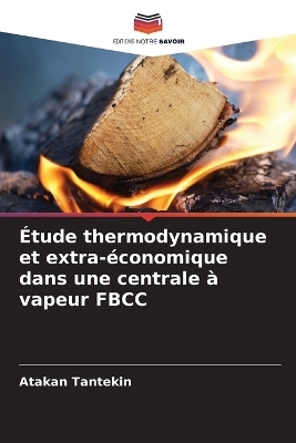 &Eacute;tude thermodynamique et extra-&eacute;conomique dans une centrale &agrave; vapeur FBCC - Atakan Tantekin